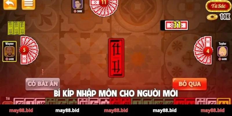 Bí kíp nhập môn cho người mới