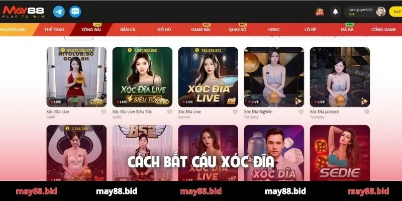 cách bắt cầu Xóc Đĩa