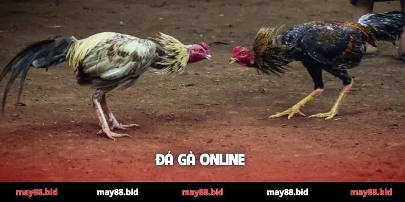 Đá gà online
