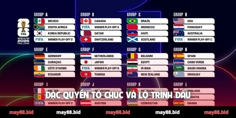 Đặc quyền tổ chức và lộ trình đấu