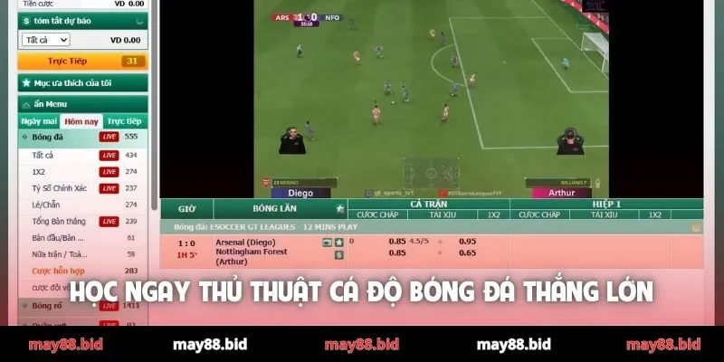 Học ngay thủ thuật cá độ bóng đá thắng lớn