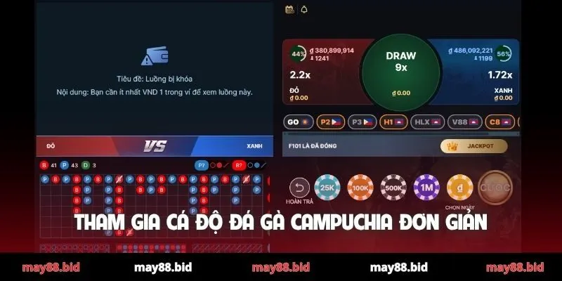 Tham gia cá độ đá gà Campuchia đơn giản