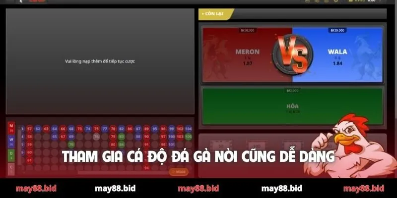 Tham gia cá độ đá gà nòi cũng dễ dàng